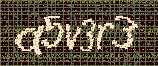 CAPTCHA_picture
