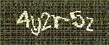 CAPTCHA_picture
