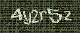 CAPTCHA_picture