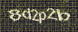 CAPTCHA_picture