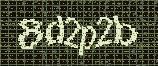 CAPTCHA_picture