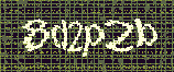 CAPTCHA_picture