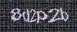 CAPTCHA_picture