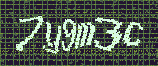 CAPTCHA_picture