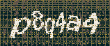 CAPTCHA_picture